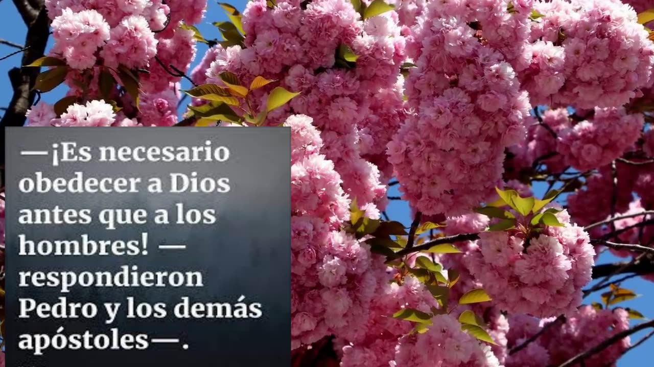 EL PELIGRO DE AGRADAR A LOS HOMBRES ANTES QUE A DIOS -Devocional