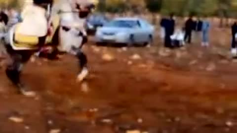 Equestrianism in Libya