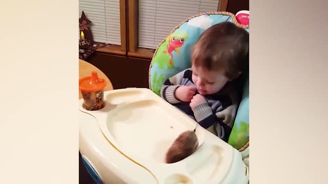 Funniest Babies Playing Toys Compilation