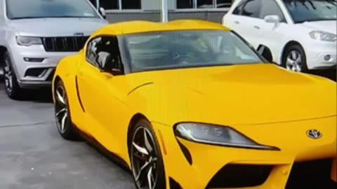 (new Toyota Supra) 新しいトヨタ スープラ by Jack the Irish wolfhound
