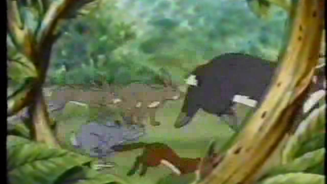 05 - Animais do Bosque dos Vinténs - A Armadilha