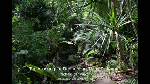 Tageslosung für Donnerstag, den 27. Januar