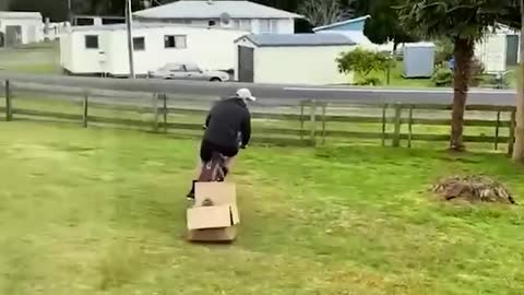 Son Being Towed in Box Behind Bike Crashes