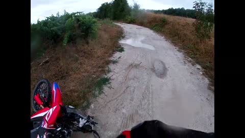 CRF300Rally Crash on French Trans Euro Trail *NEW BIKE*