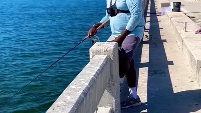 How to catch Spanish Mackerel at the Skyway in 60 secs