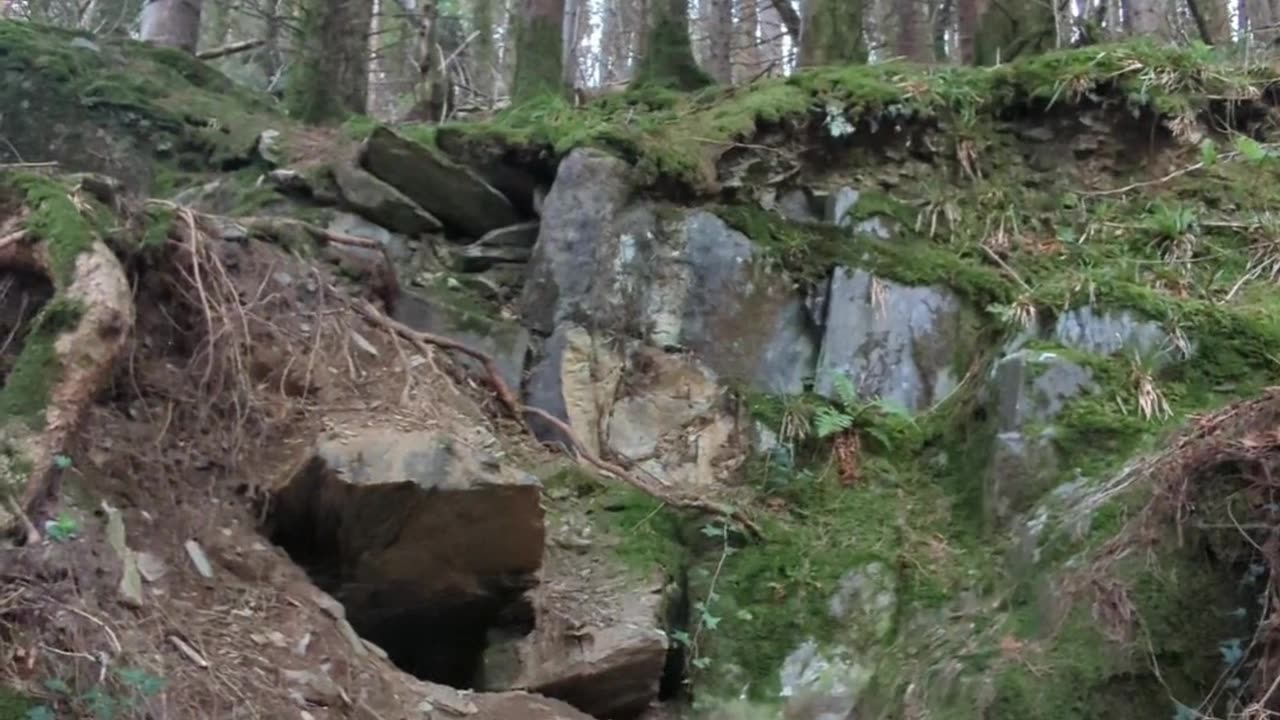 Vartry river loop walk , Wicklow, Ireland