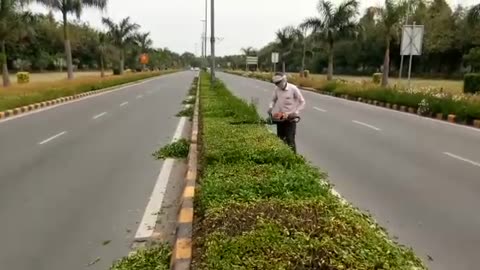 NDMc Roadsides hedge trimming drive