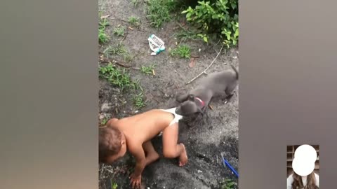 Adorable Babies Playing With Dogs Compilation - Funny Baby And Dog Videos || Just Laugh