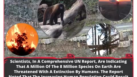 Earth's Species Crisis: A Million At Risk Of Extinction
