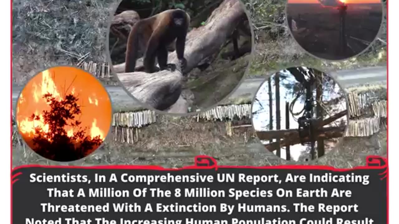 Earth's Species Crisis: A Million At Risk Of Extinction
