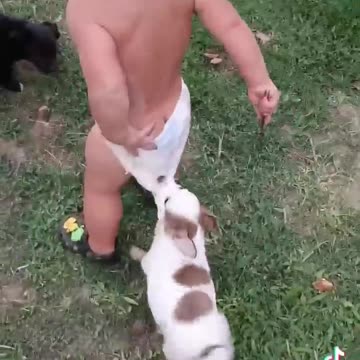 Нападение 🤣😍#интересно#короткие#видео#собаки#дети