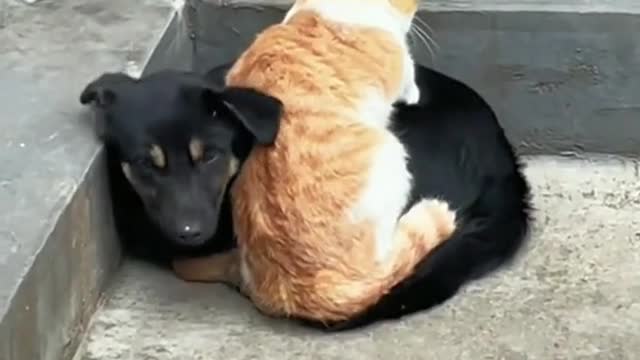We are good friends.🥰