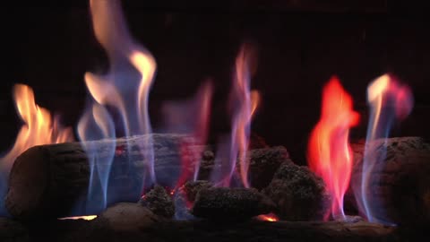 Lose Yourself: The Hypnotic Images of a Wood Fire