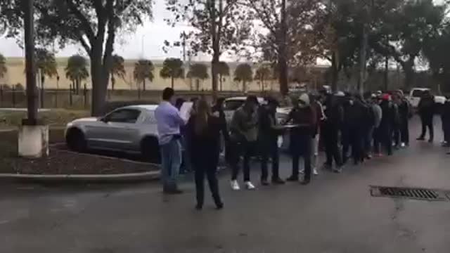 Busses of illegal aliens