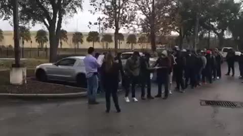 Busses of illegal aliens