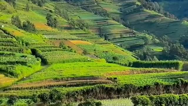 Sunda 2 view natural Indonesia