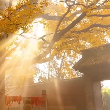 May your day be peacepul