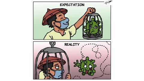 Corona Expectation and Reality