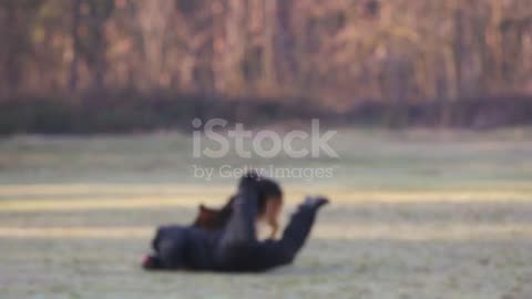 Soldiers training dog to attack in a field