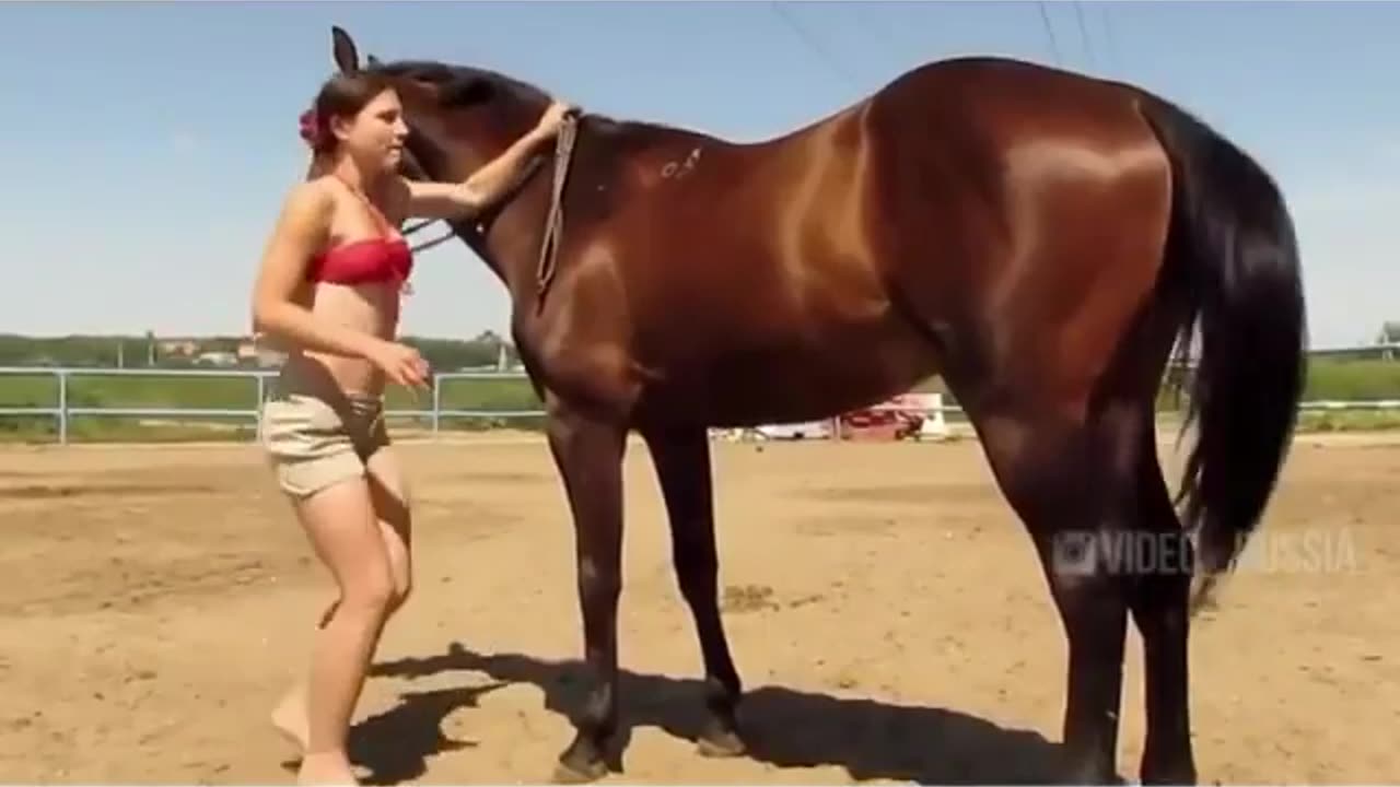 Lady horse rider