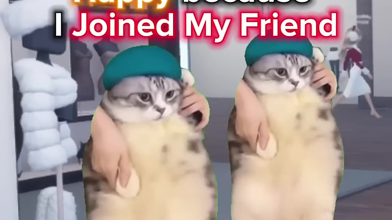 Cat meme Trend