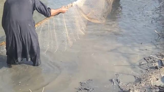How To Cough Fish