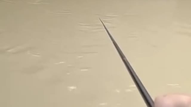 fishing video