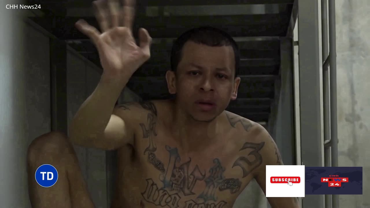 This is how the transfer of thousands of gang members to this mega-prison in El Salvador began