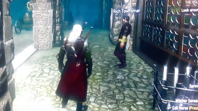 Glitchy Rich Townsman - The Witcher 3: Wild Hunt — Complete Edition for Nintendo Switch