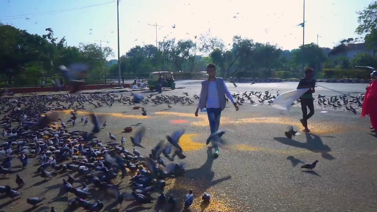 Help Of Innocent Birds❤ #firstvlog #shortvlog