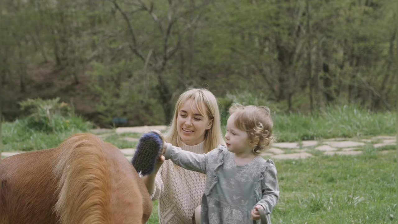 Horse soo cute