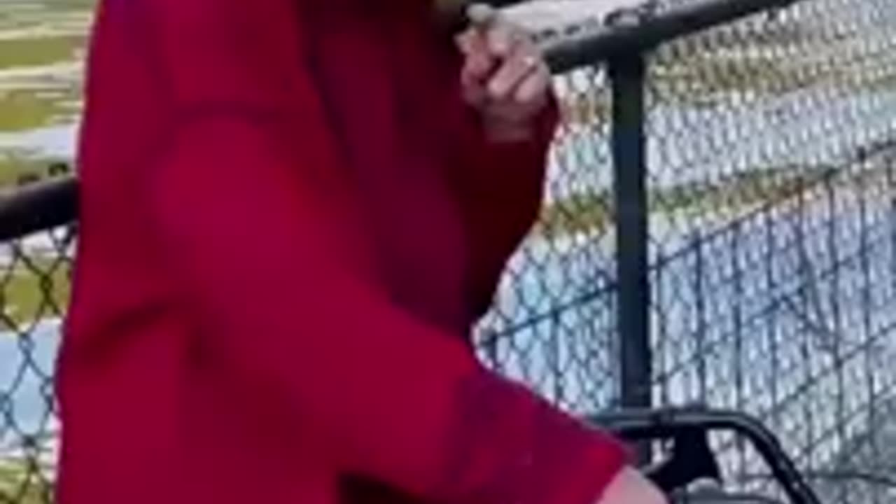 Best funny animal video 😂