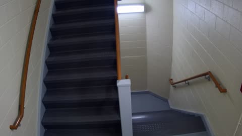 3889FHOB05Stair10_2021-01-06_12h00min01s603ms.mp4