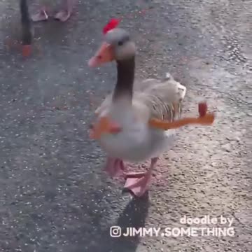 Ducks with Arms