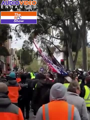 DT Flag Spotted In Australian J4b Freedom Rallies