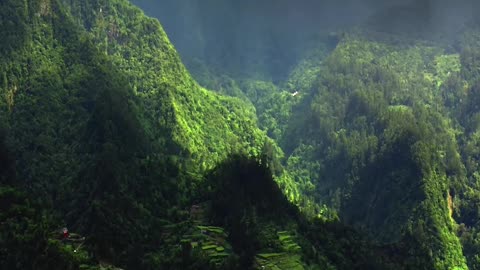 Madeira island, Portugal.