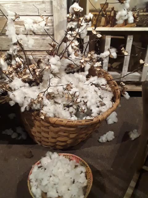 Cotton. Y'all don't be hating!