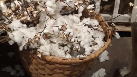 Cotton. Y'all don't be hating!