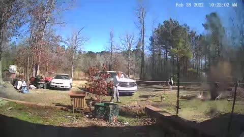 Goose Charges at a Lady Soon as She Gets Out of Her Car