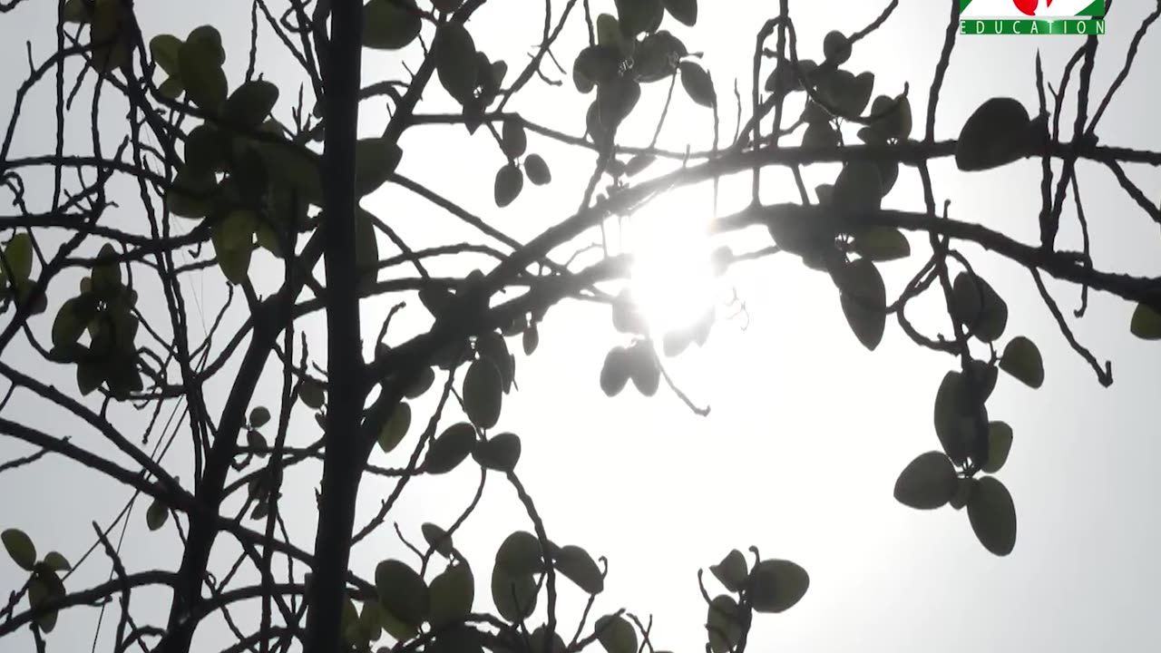 ঈদের পর শনিবার স্কুল নাও খোলা থাকতে পারে- শিক্ষামন্ত্রী | Saturday School Off | Education Minister