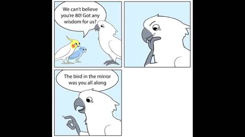 Comics With A Parrot Twist