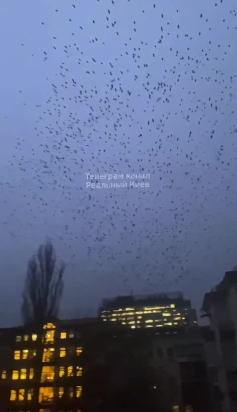 Harbingers Of Death Over Kyiv