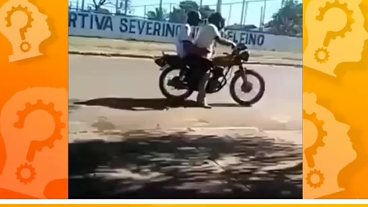 Funny videos