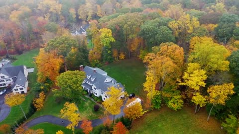 Enchanting Autumn Forests with Beautiful Piano Music