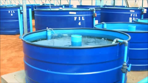 FISH FARMING IN BOSTWANA