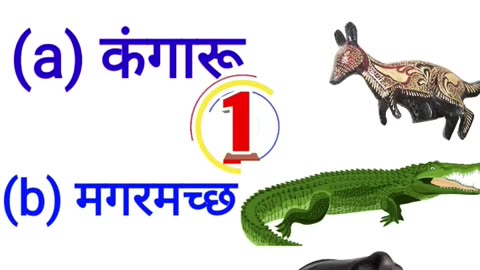 Generalknowlege question in hindi