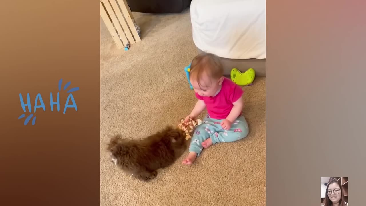 Funny Baby and Animal Videos -- Just Laugh