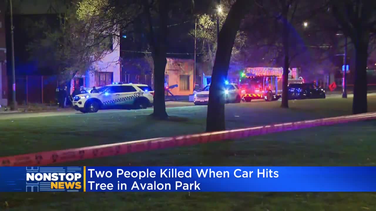 Two people killed when car hits tree in Avalon Park