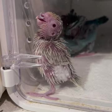 Cutest bBy in the world!!!!! Be still my heart!