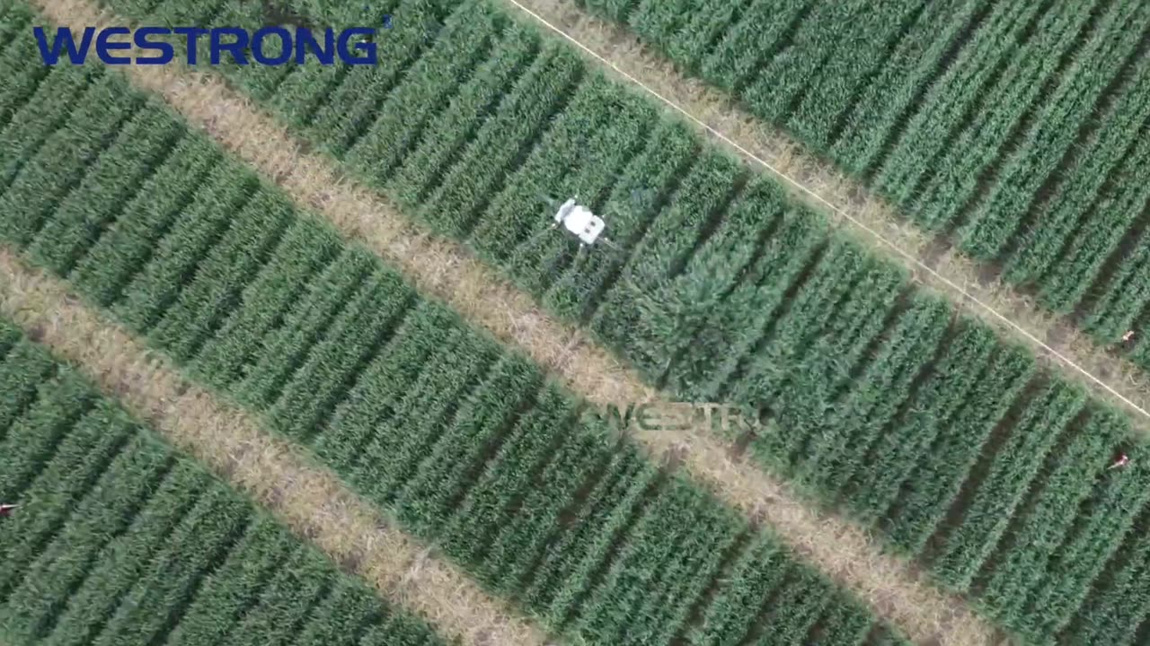 Westrong Agriculture Drone UAV Plant Protection Drone Smart Farming Drone